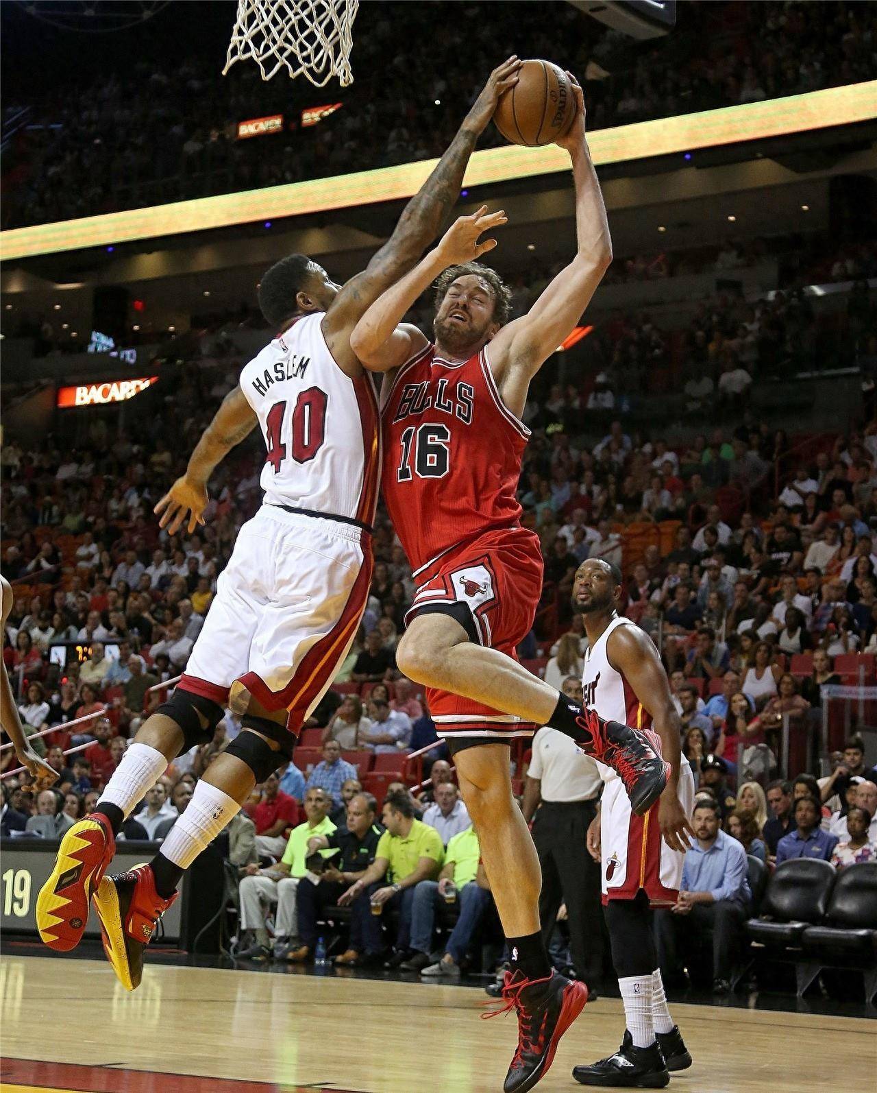 新区的相关 新区的相关