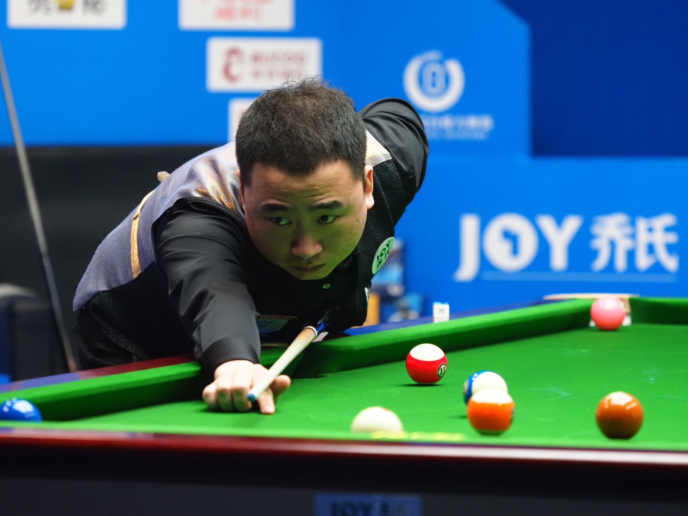 他们的日常 他们的日常