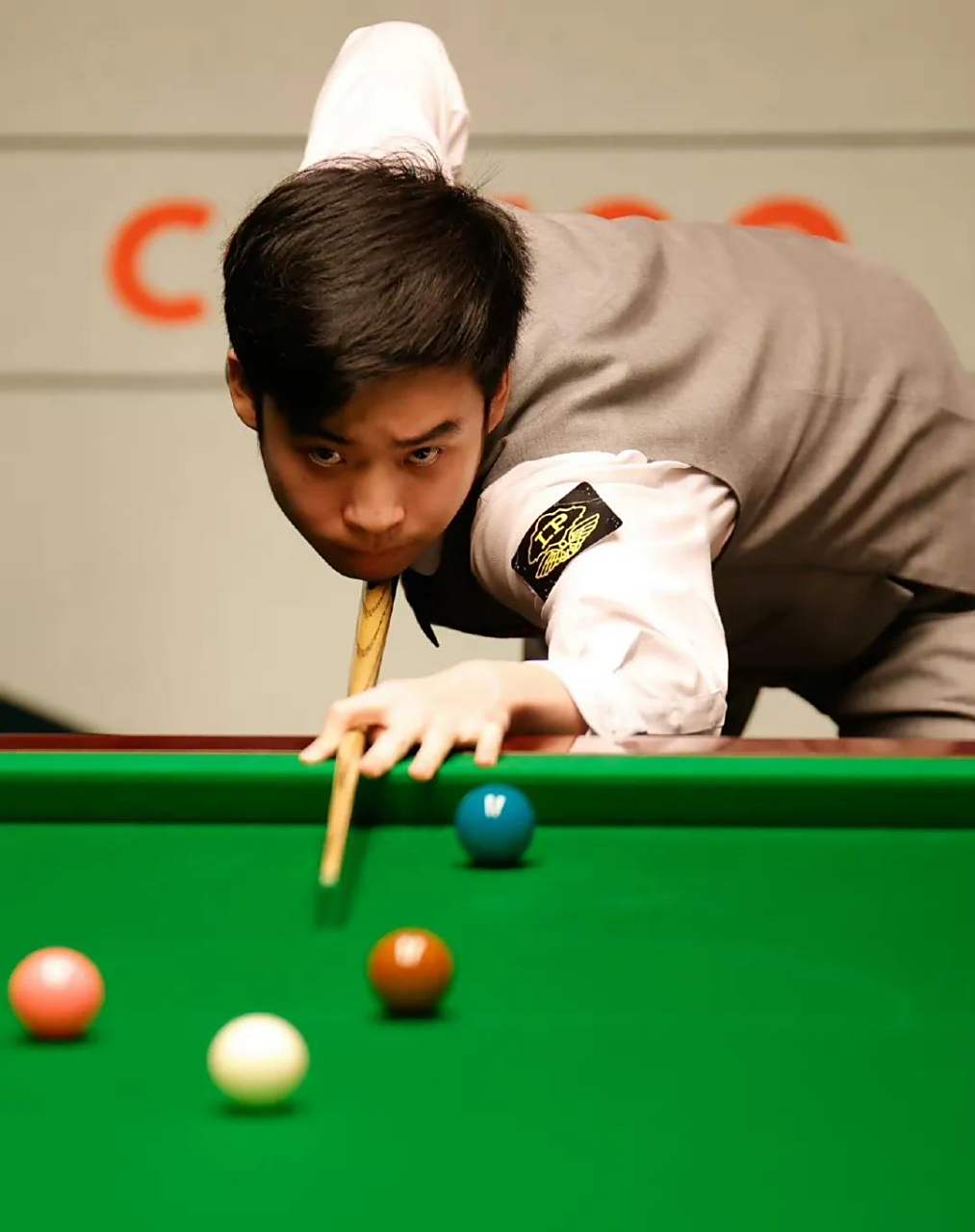 流树立了榜 流树立了榜