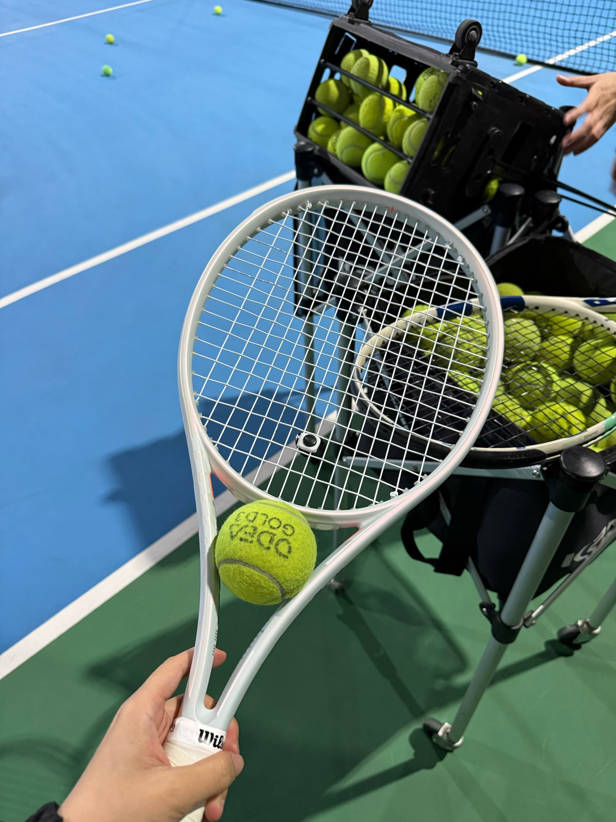 名的引援之 名的引援之