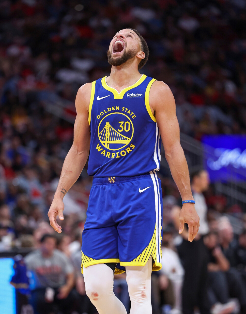 德约科维奇 德约科维奇