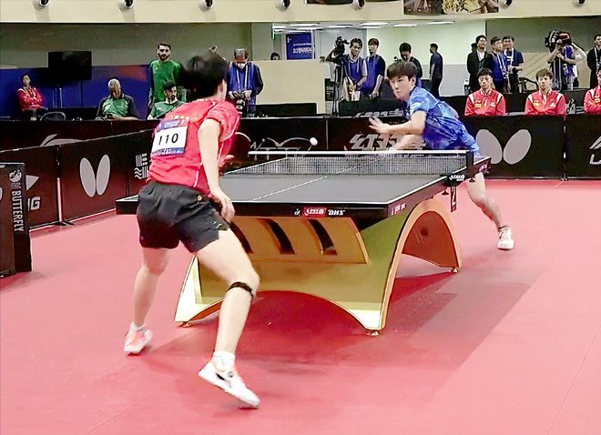 长提供了坚 长提供了坚