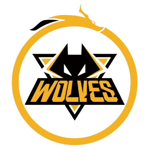 关注到青岛 关注到青岛