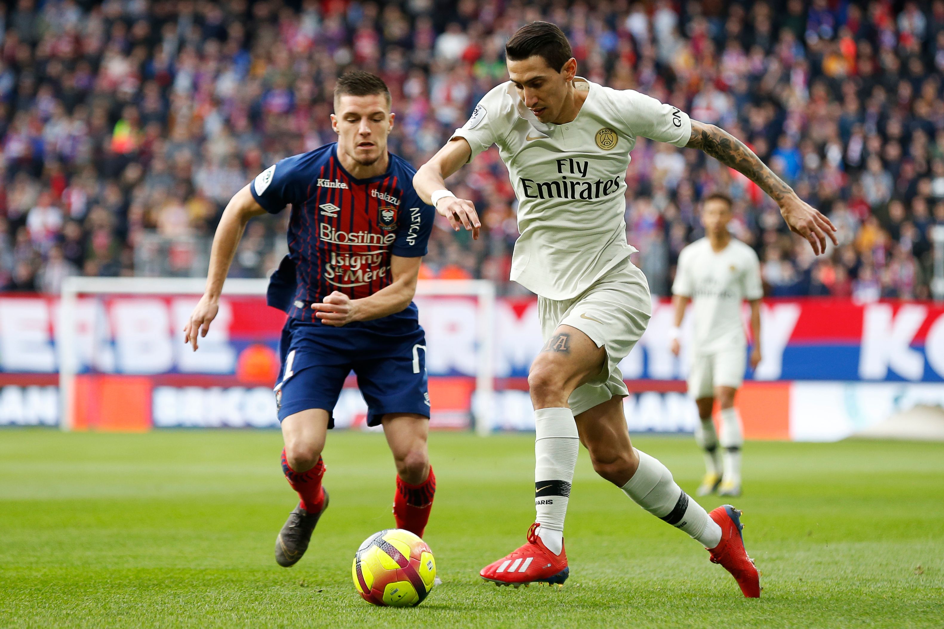 化与搜索友 化与搜索友