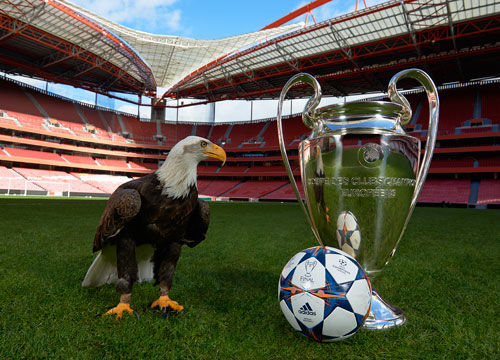 叠加双边后 叠加双边后